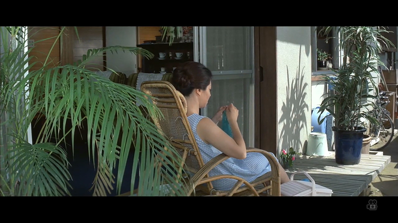 绿风中的爱恋剧照的剧照