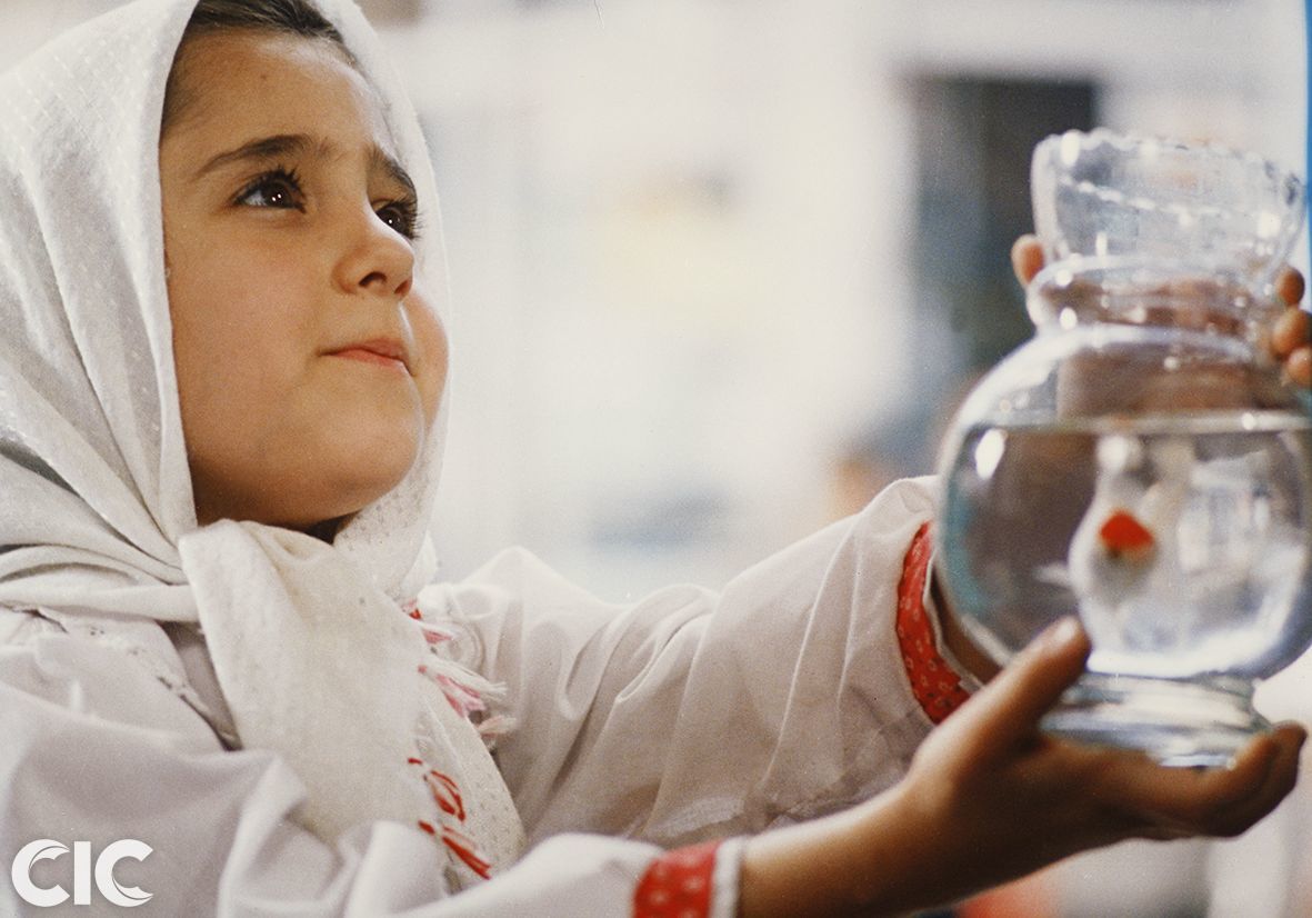 白气球剧照的剧照