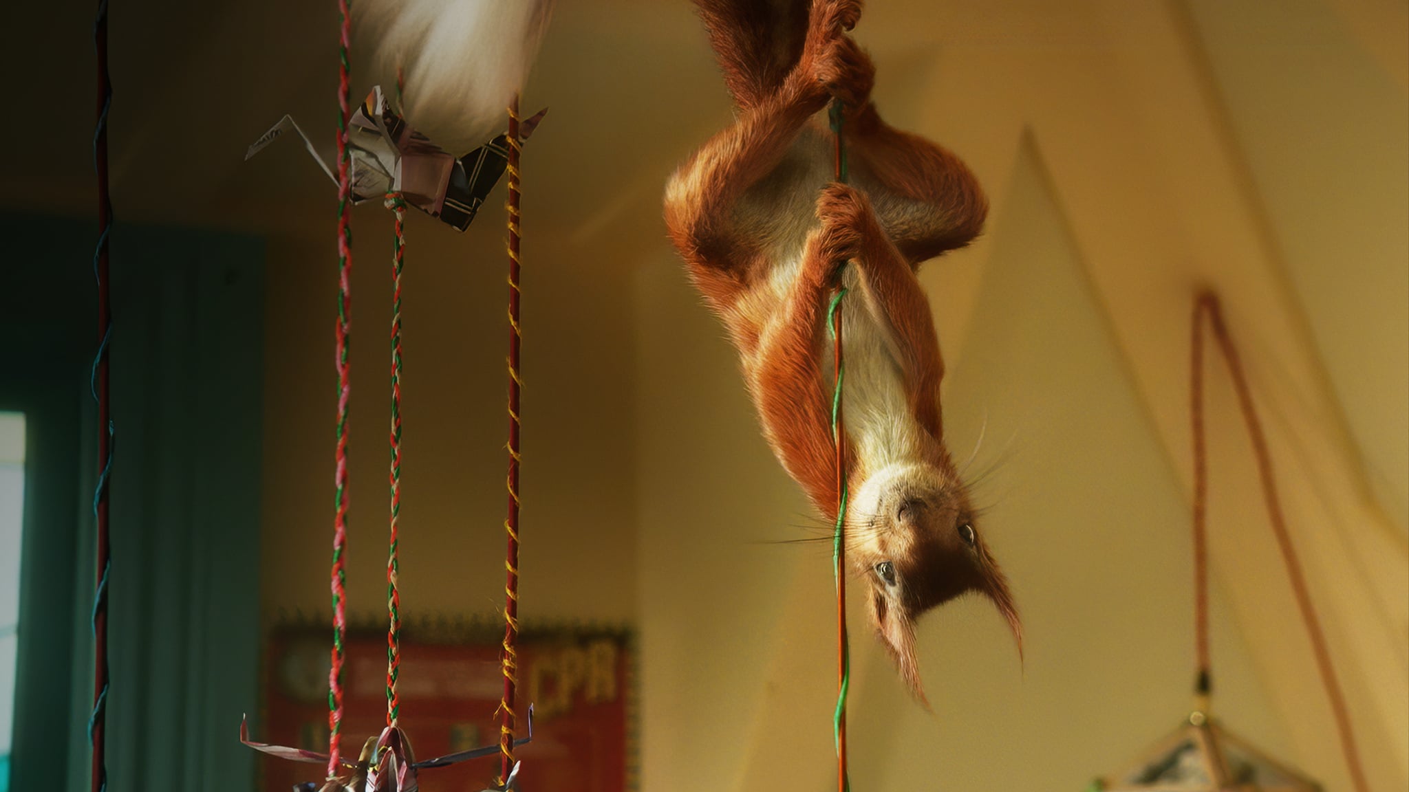 弗罗拉与松鼠侠剧照的剧照