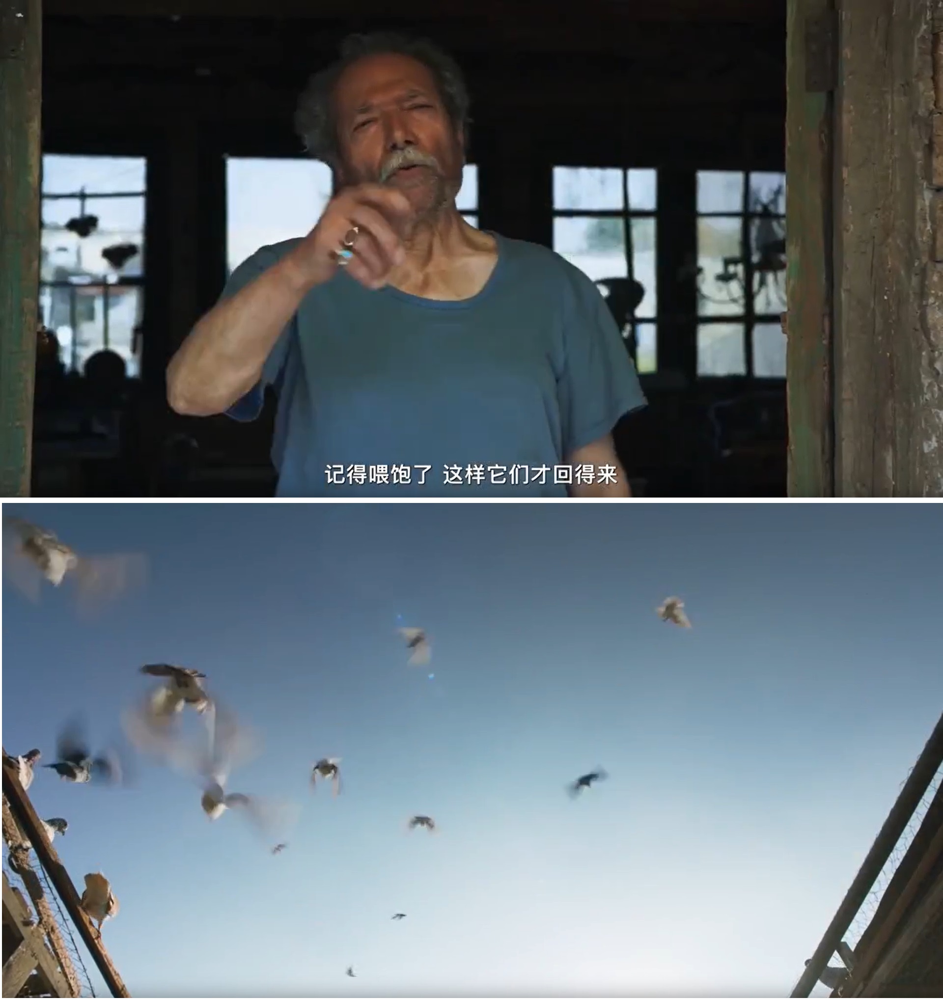 太阳之子剧照的剧照