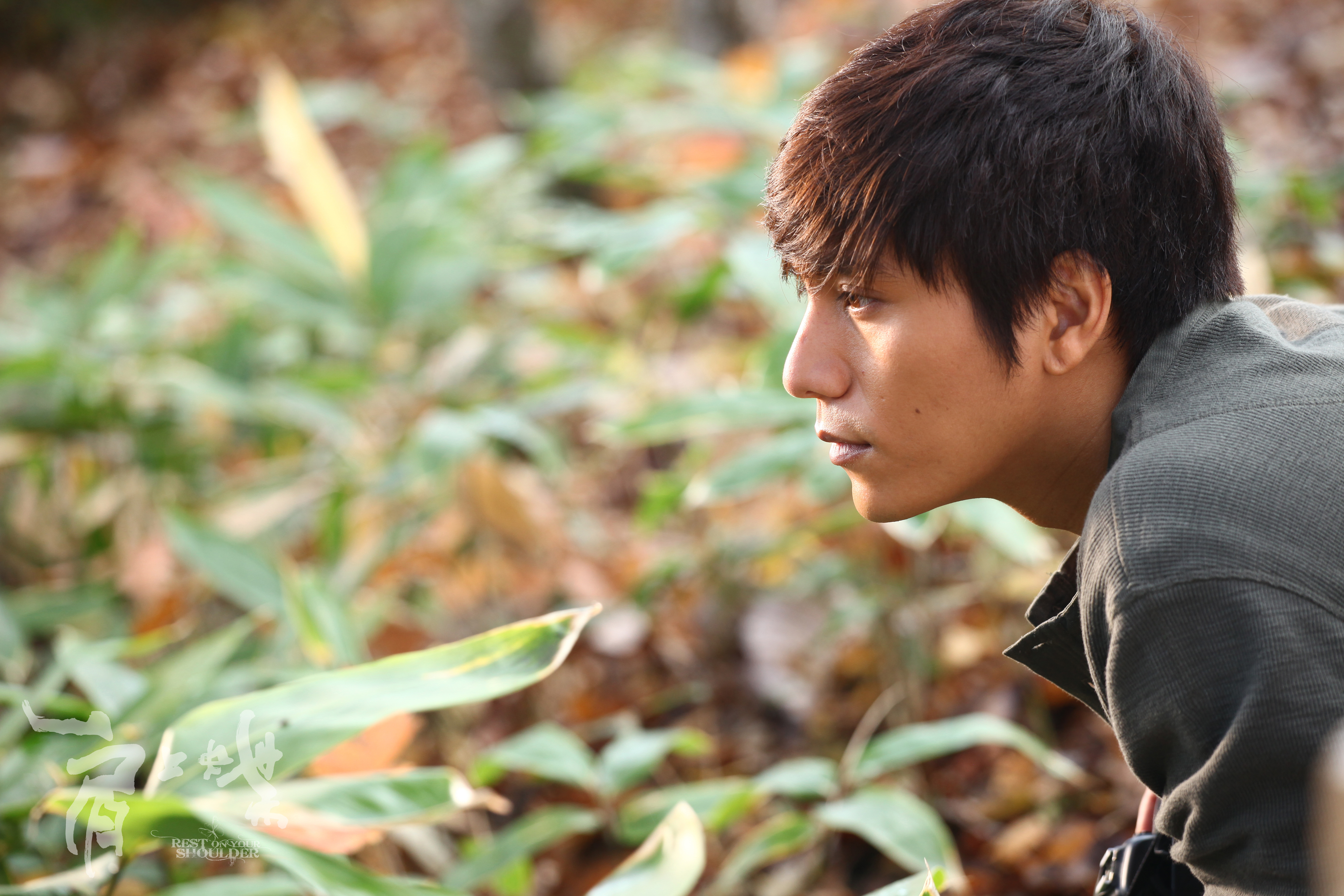 肩上蝶剧照的剧照