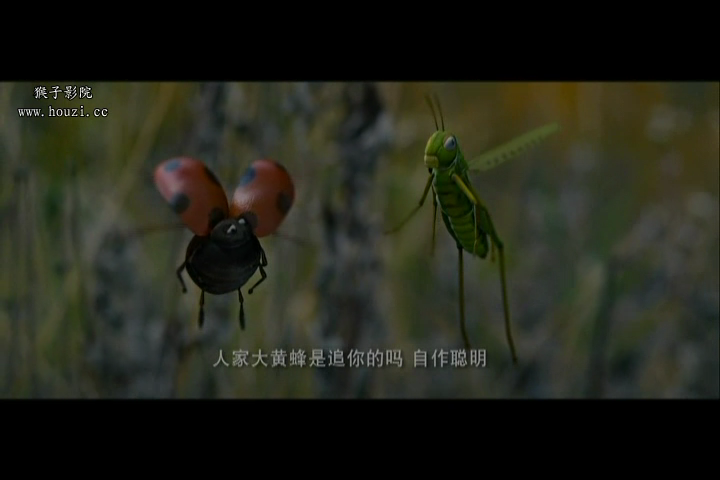 肩上蝶剧照的剧照