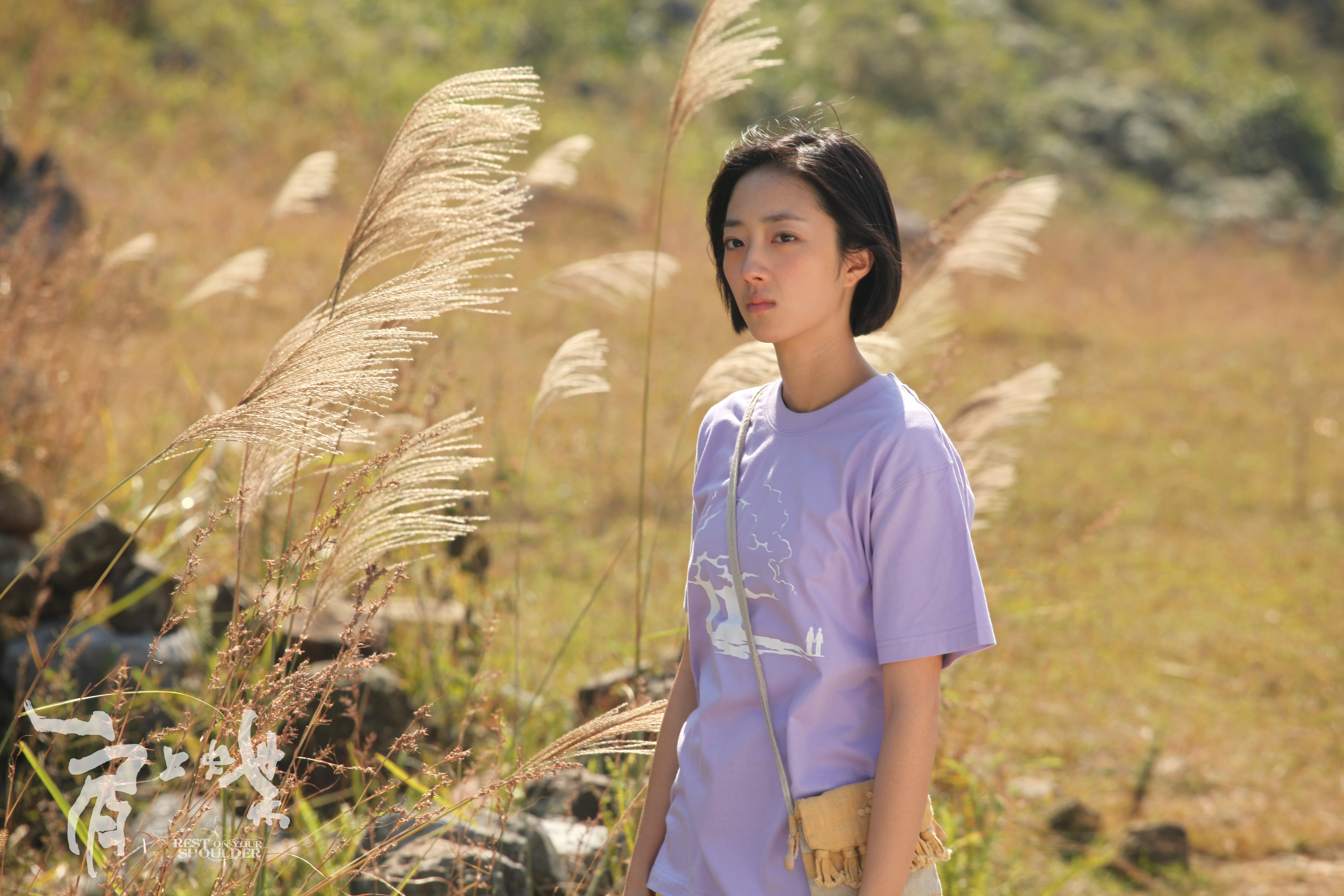 肩上蝶剧照的剧照