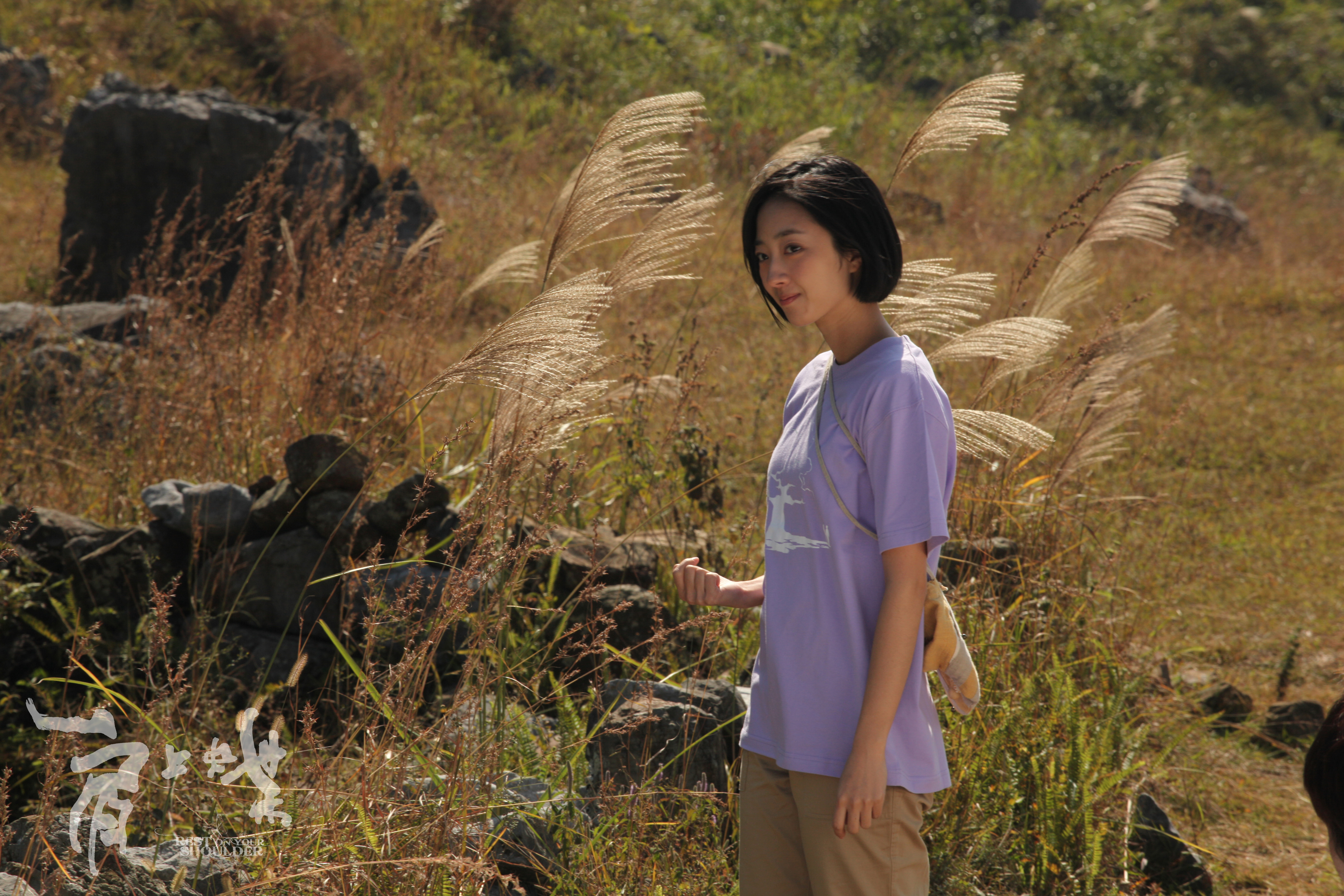 肩上蝶剧照的剧照