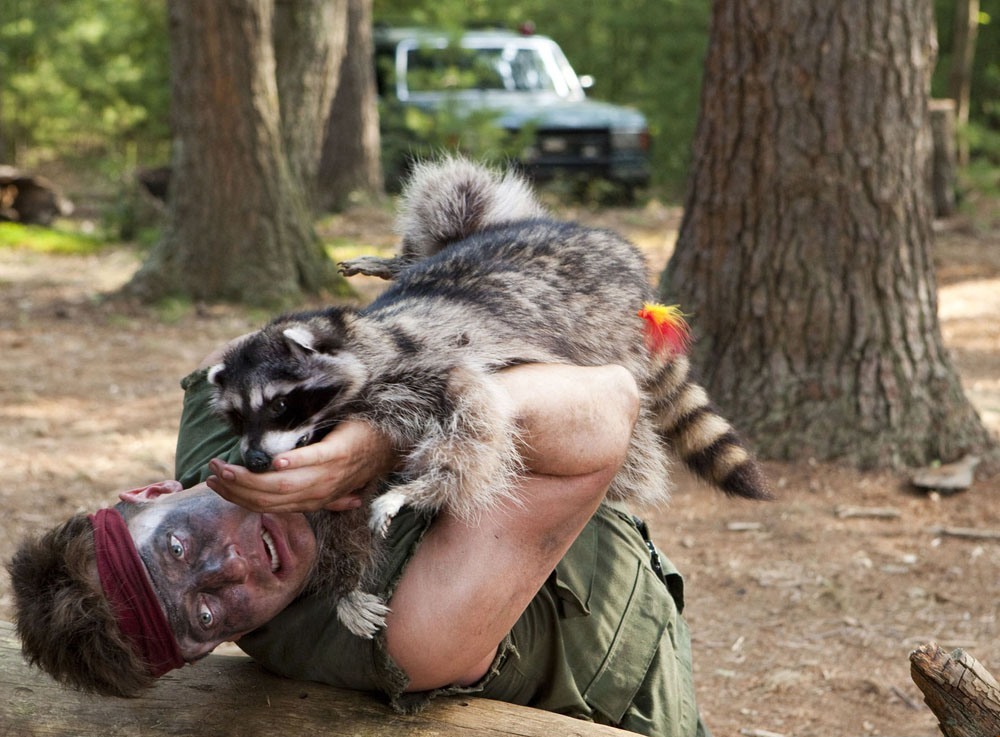 回到荒野剧照的剧照