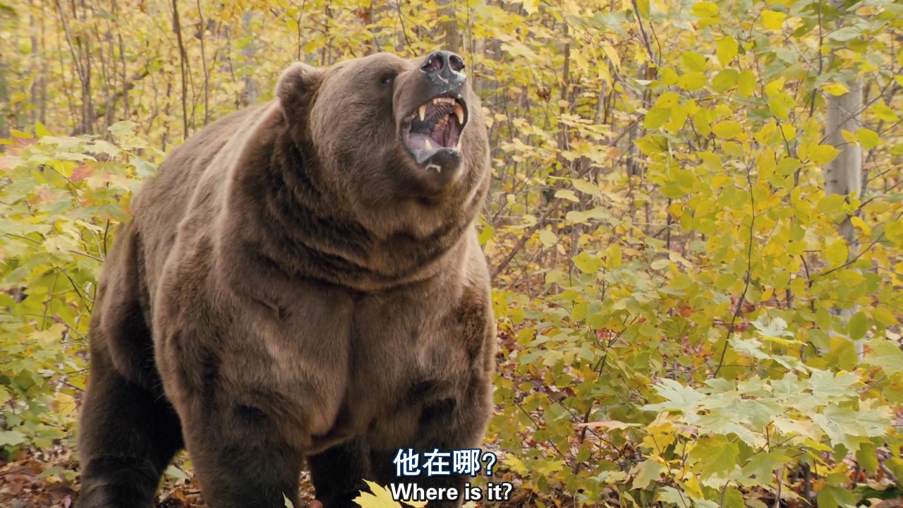 回到荒野剧照的剧照