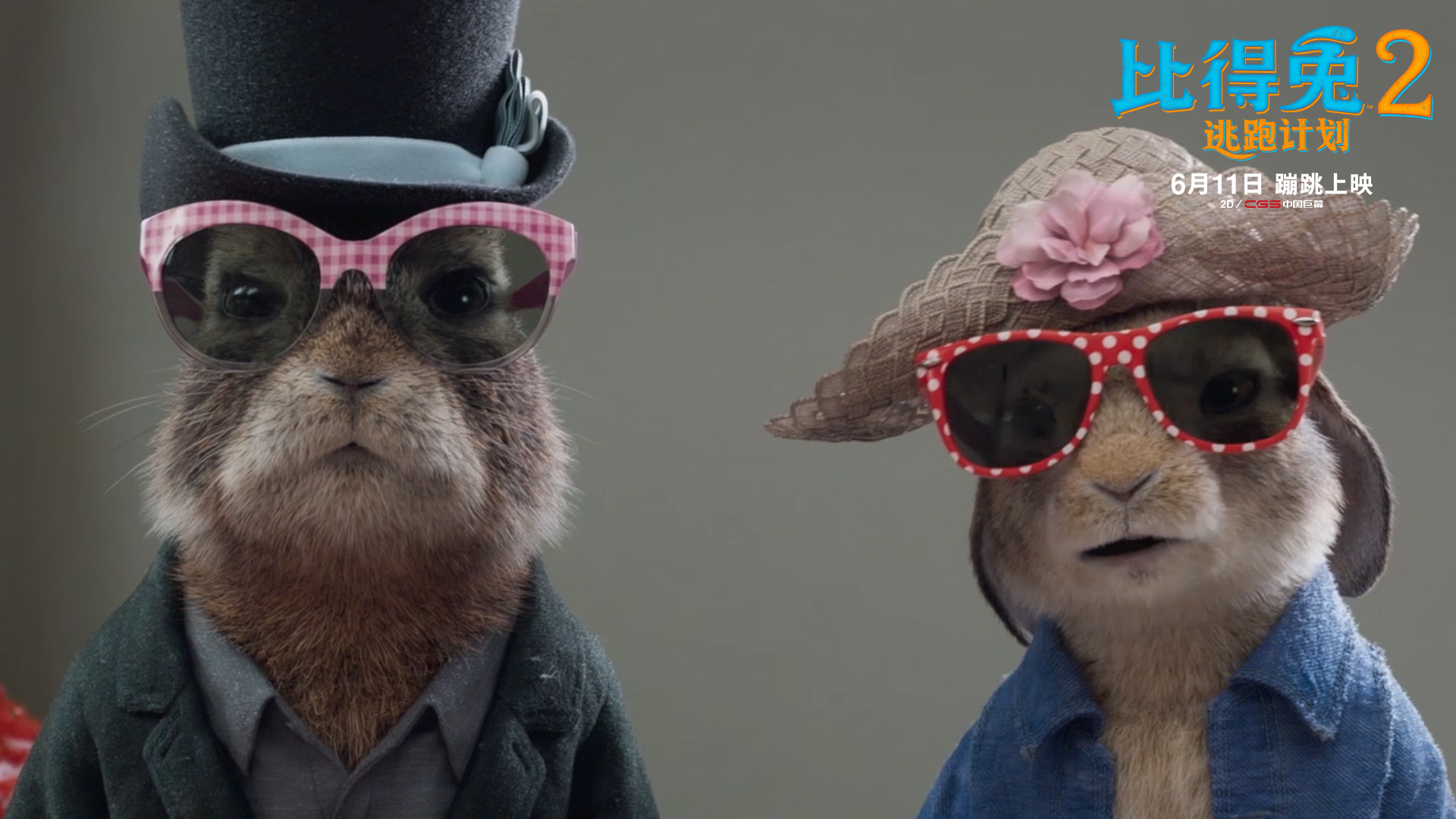 比得兔2：逃跑计划剧照的剧照