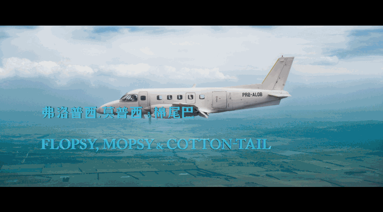 比得兔2：逃跑计划剧照的剧照