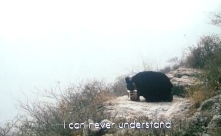 世界上最疼我的那个人去了剧照的剧照