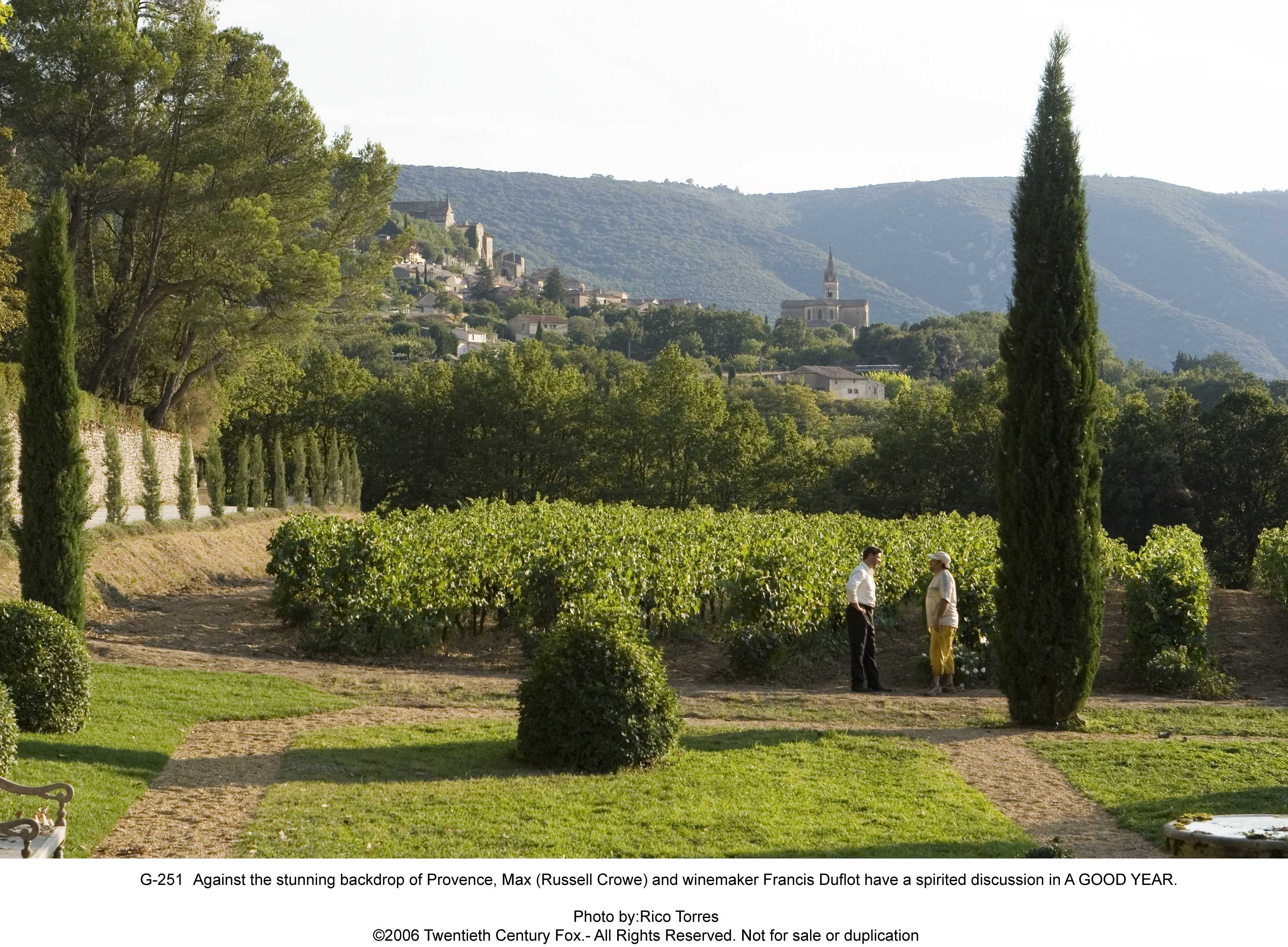 美好的一年剧照的剧照