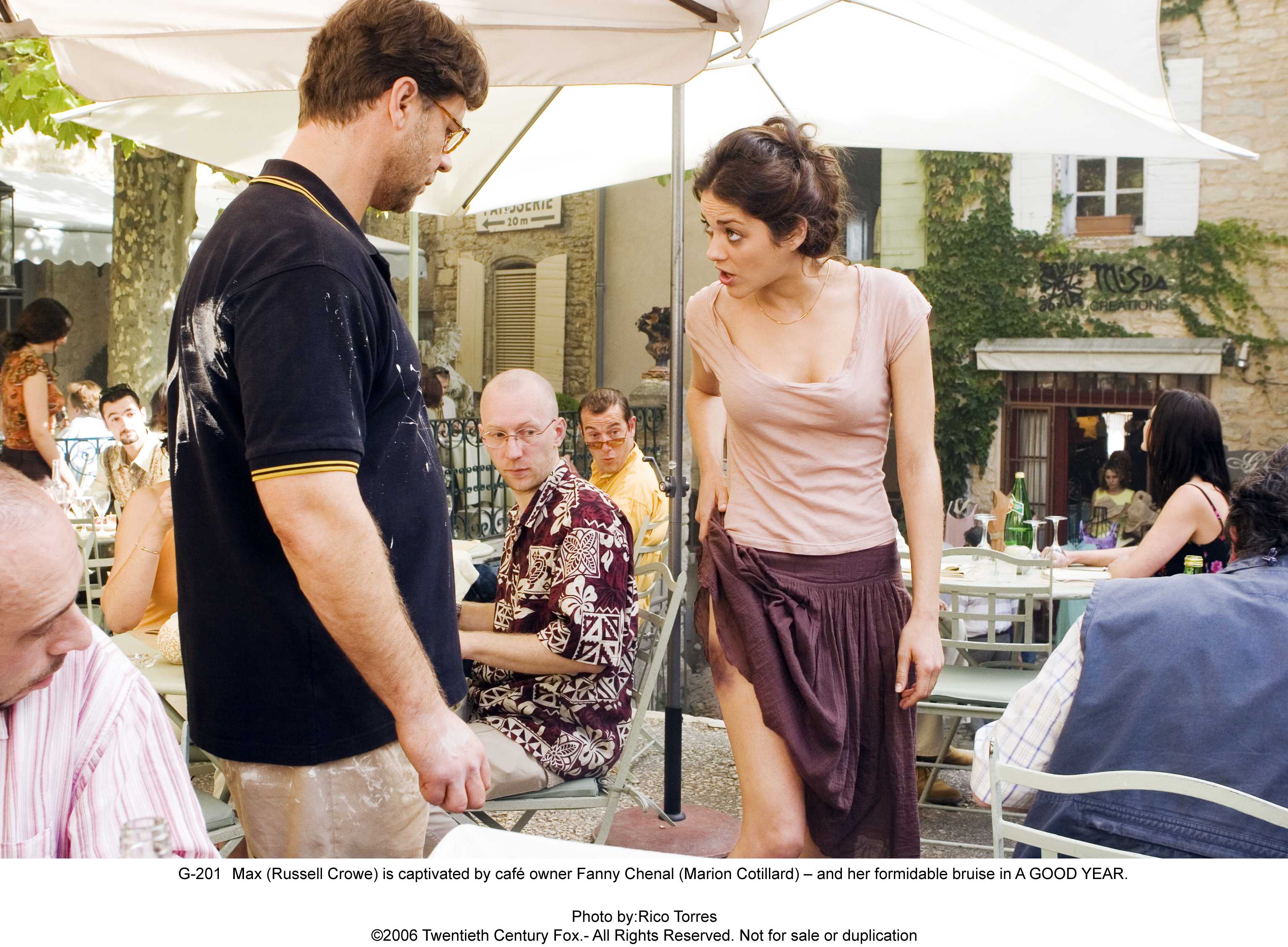 美好的一年剧照的剧照