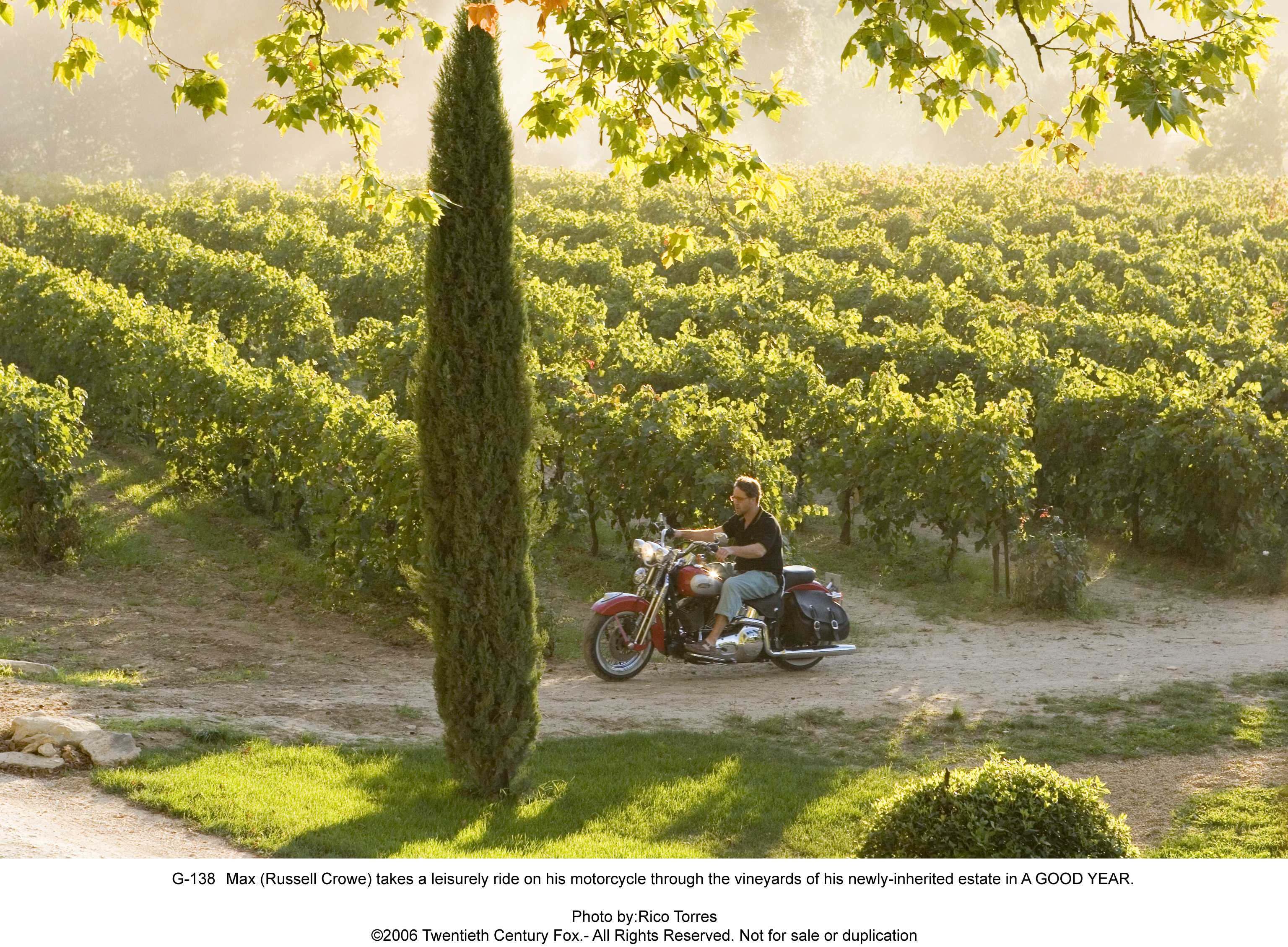 美好的一年剧照的剧照