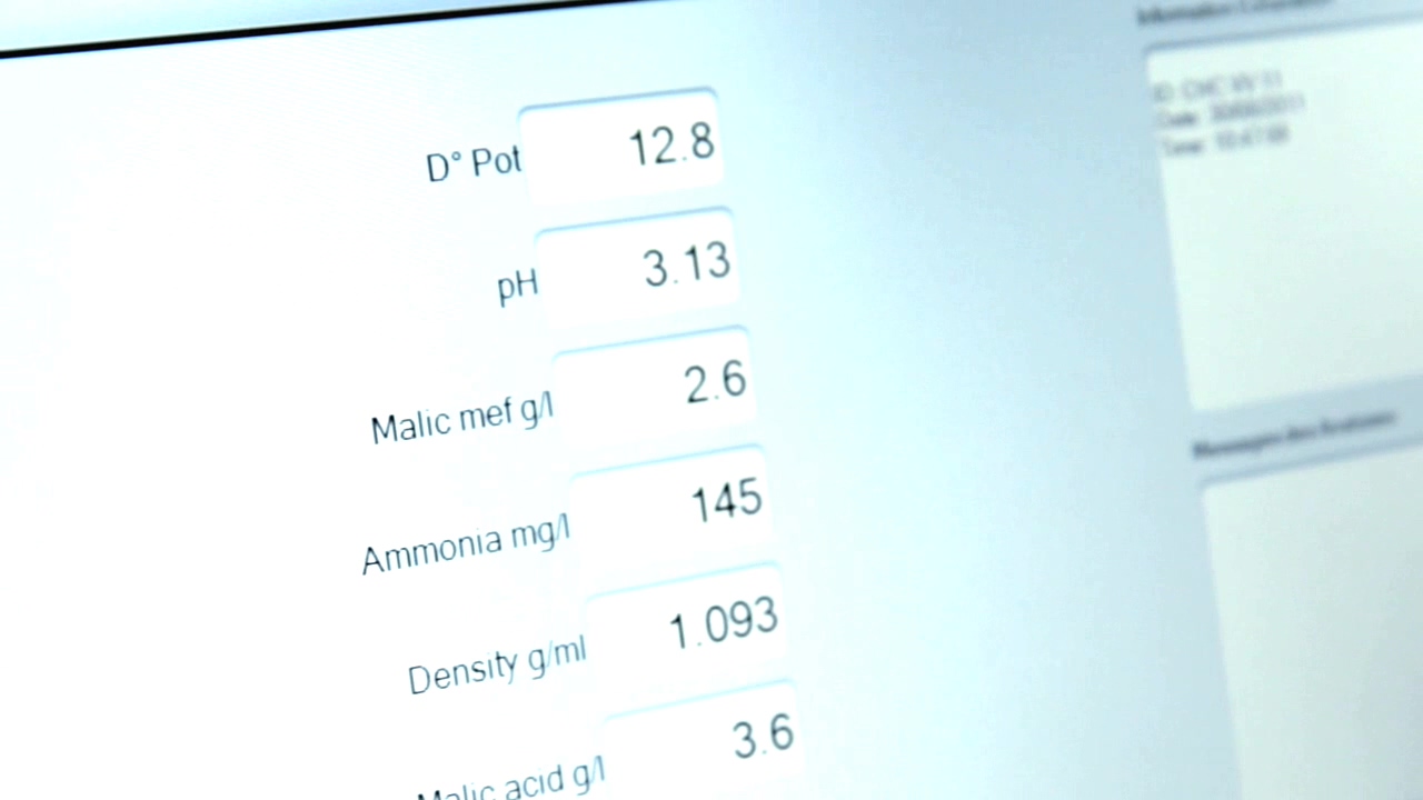 在勃艮第的一年剧照的剧照