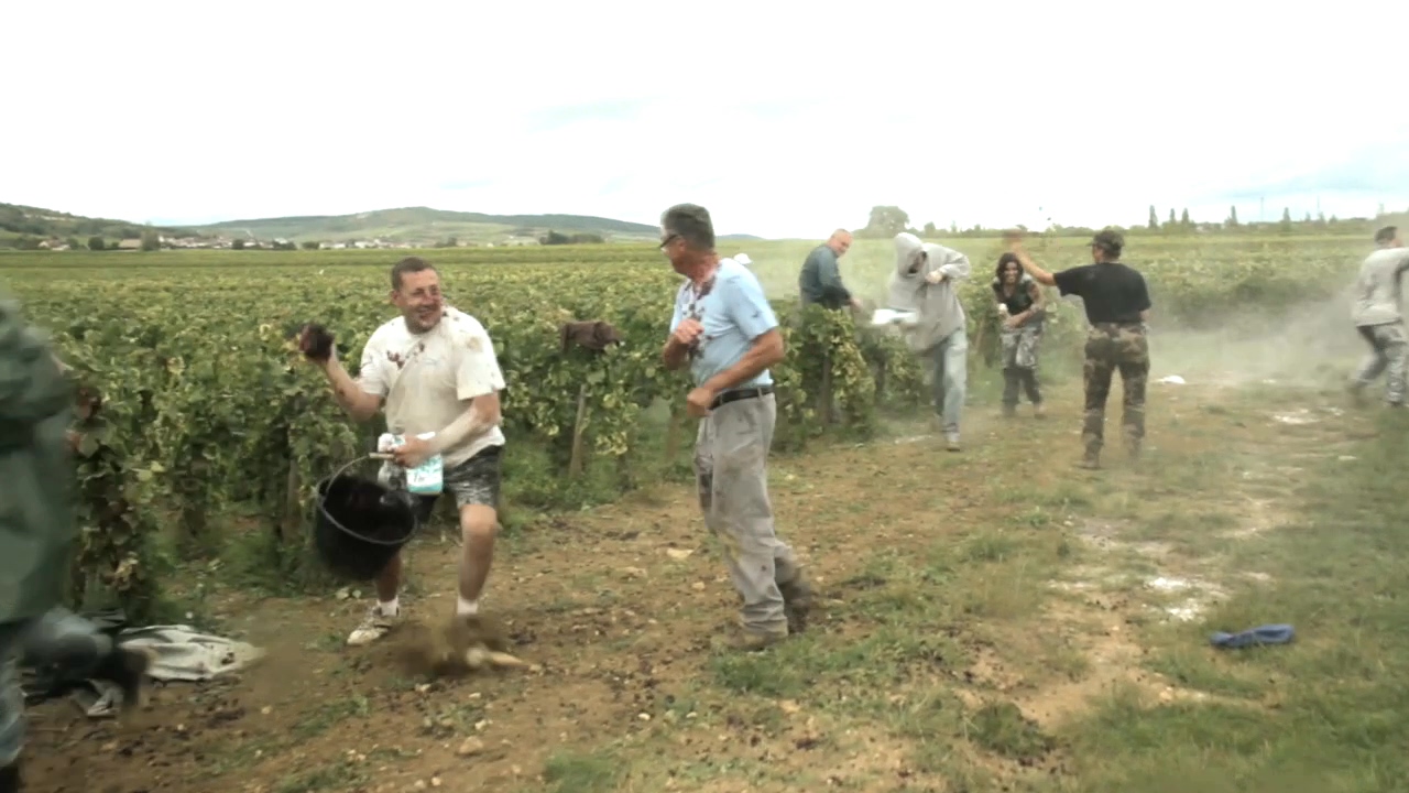 在勃艮第的一年剧照的剧照