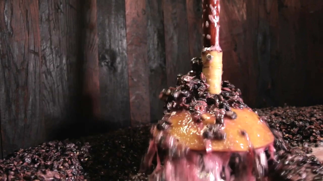 在勃艮第的一年剧照的剧照