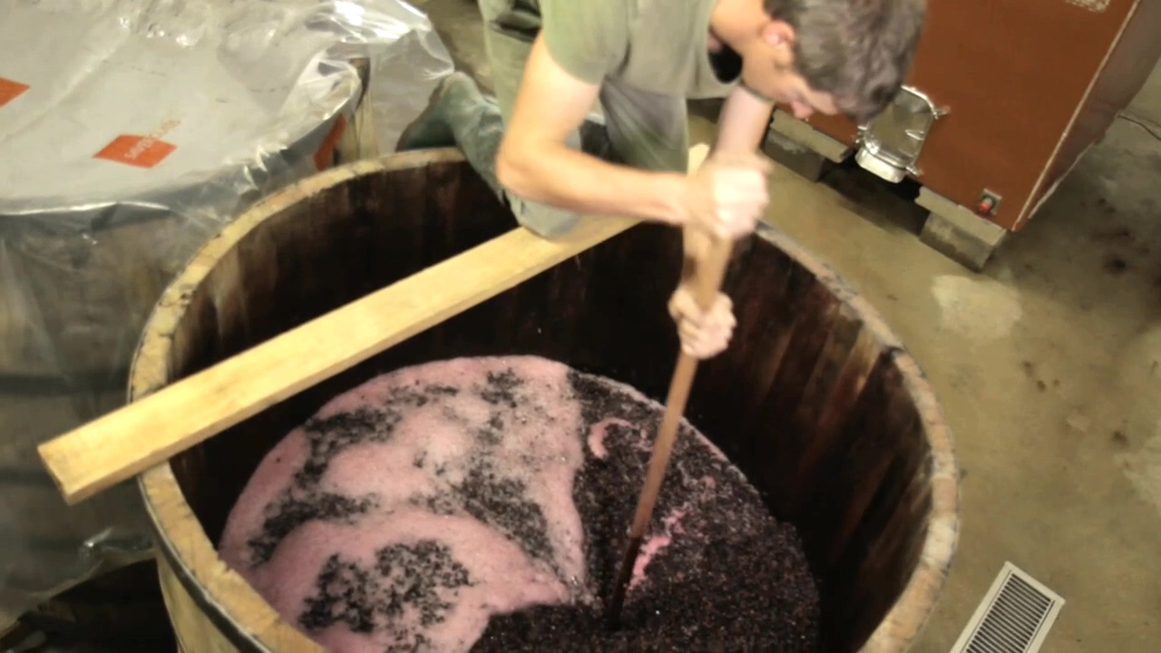 在勃艮第的一年剧照的剧照