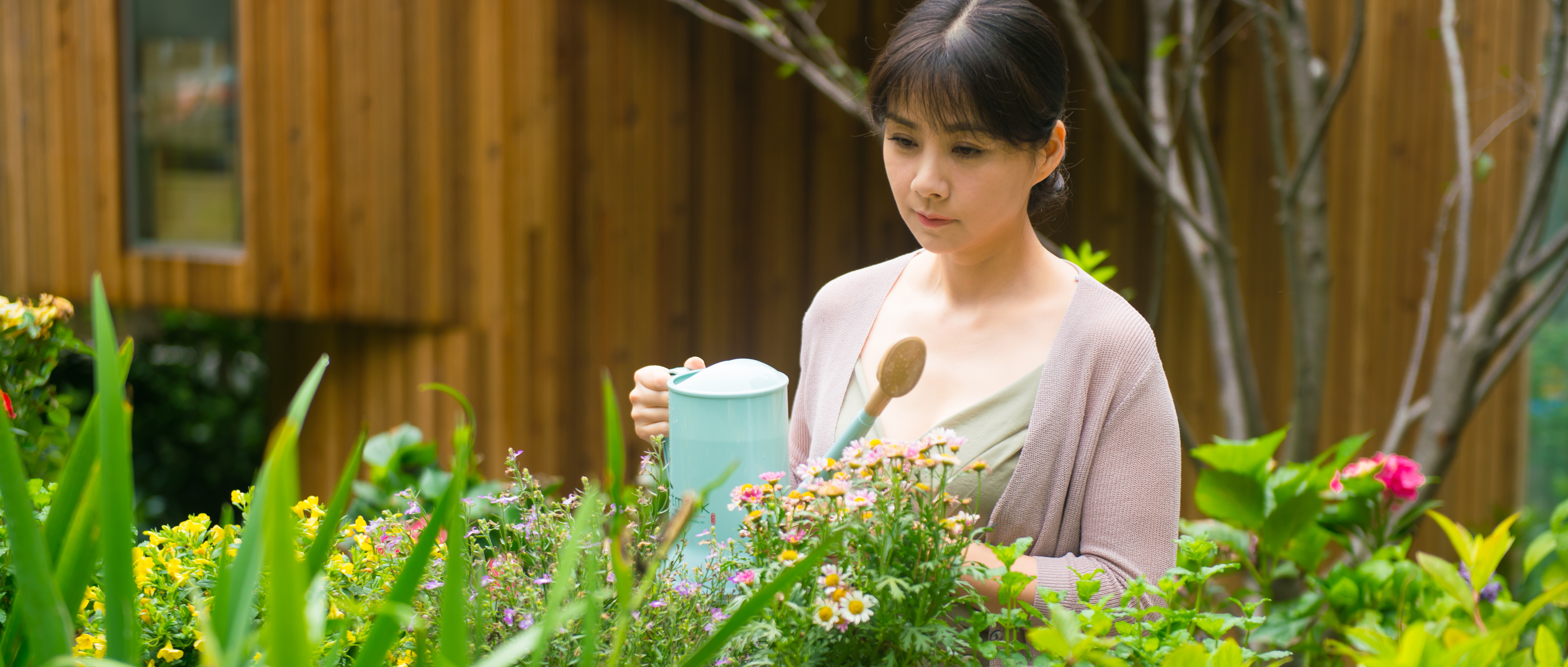 智爱2026剧照的剧照