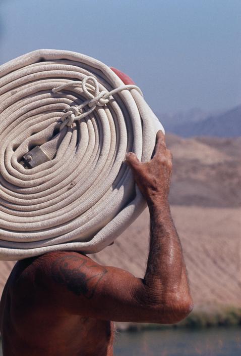 凤凰劫剧照的剧照