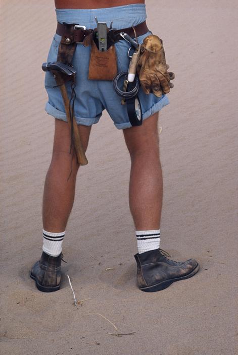 凤凰劫剧照的剧照