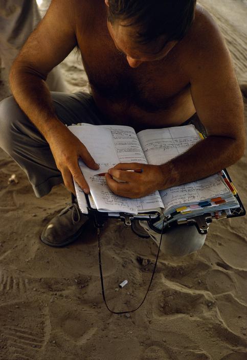 凤凰劫剧照的剧照