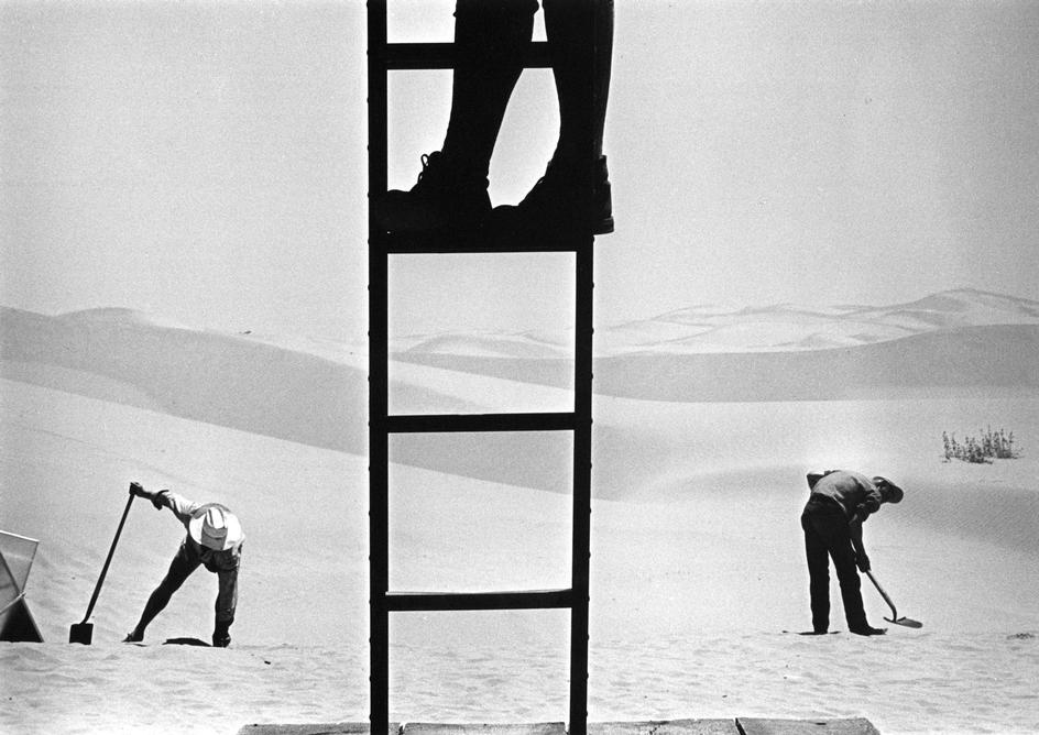 凤凰劫剧照的剧照