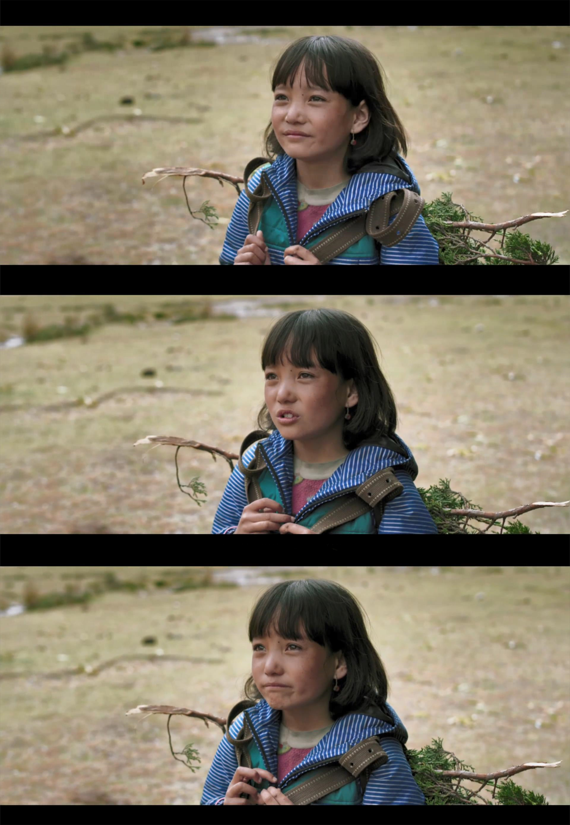 教室里的一头牦牛剧照的剧照