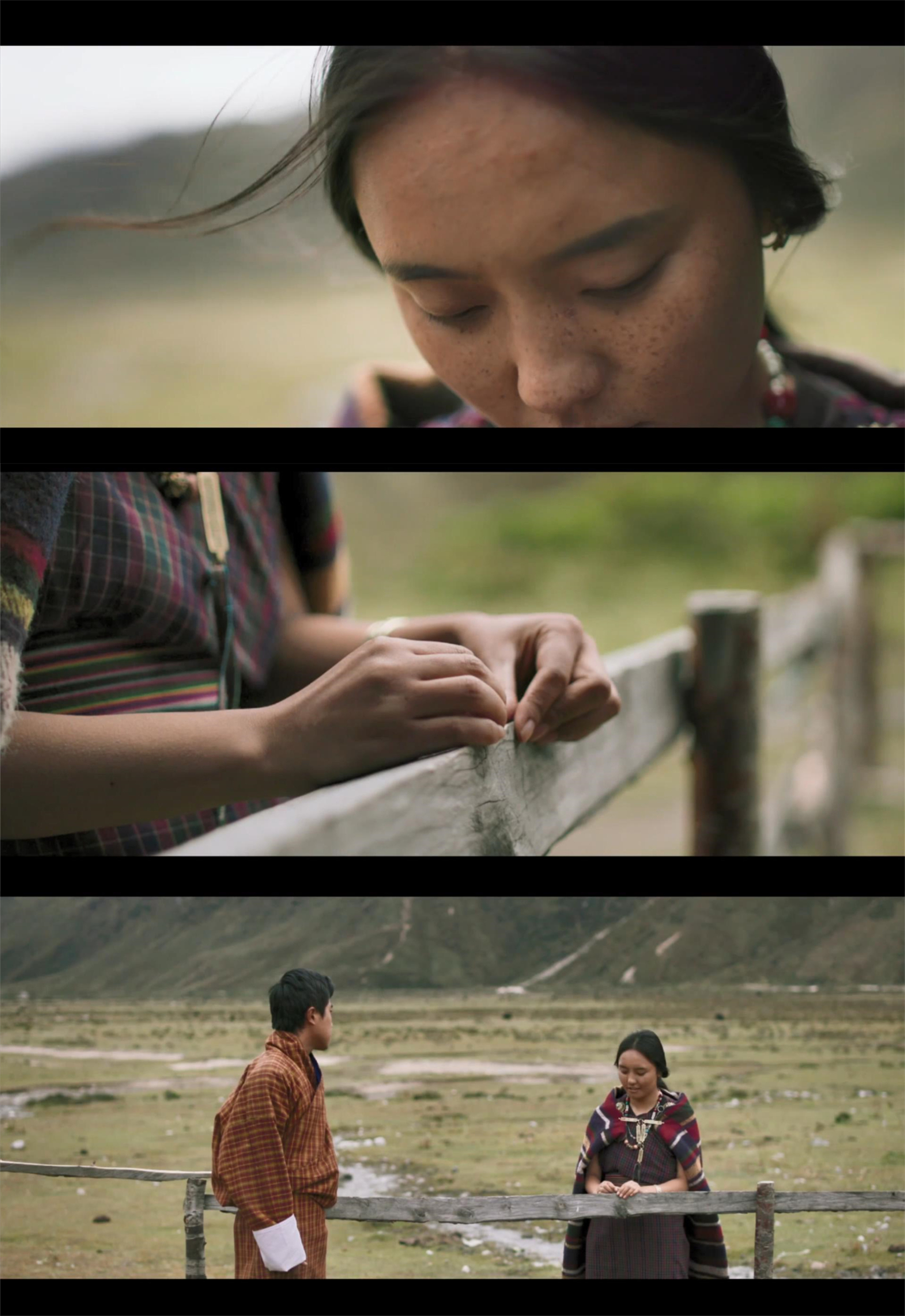 教室里的一头牦牛剧照的剧照