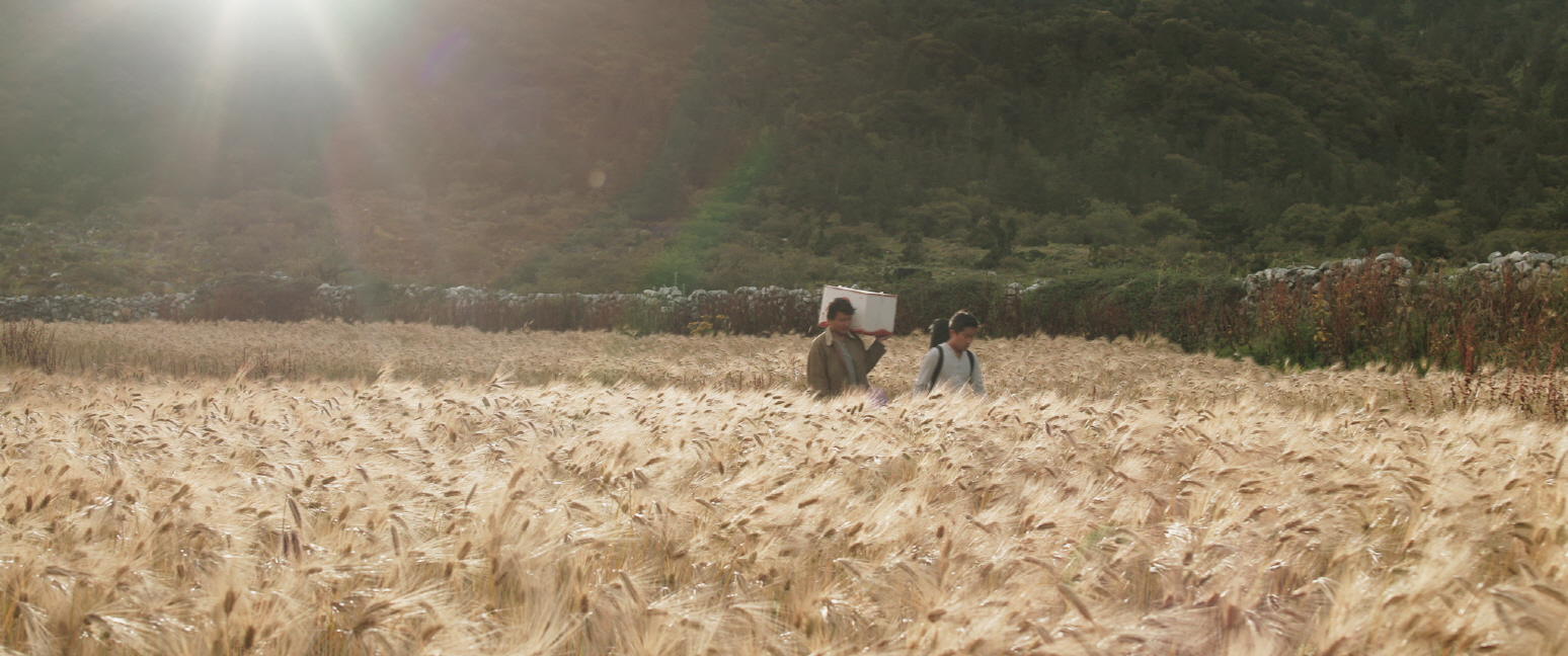 教室里的一头牦牛剧照的剧照