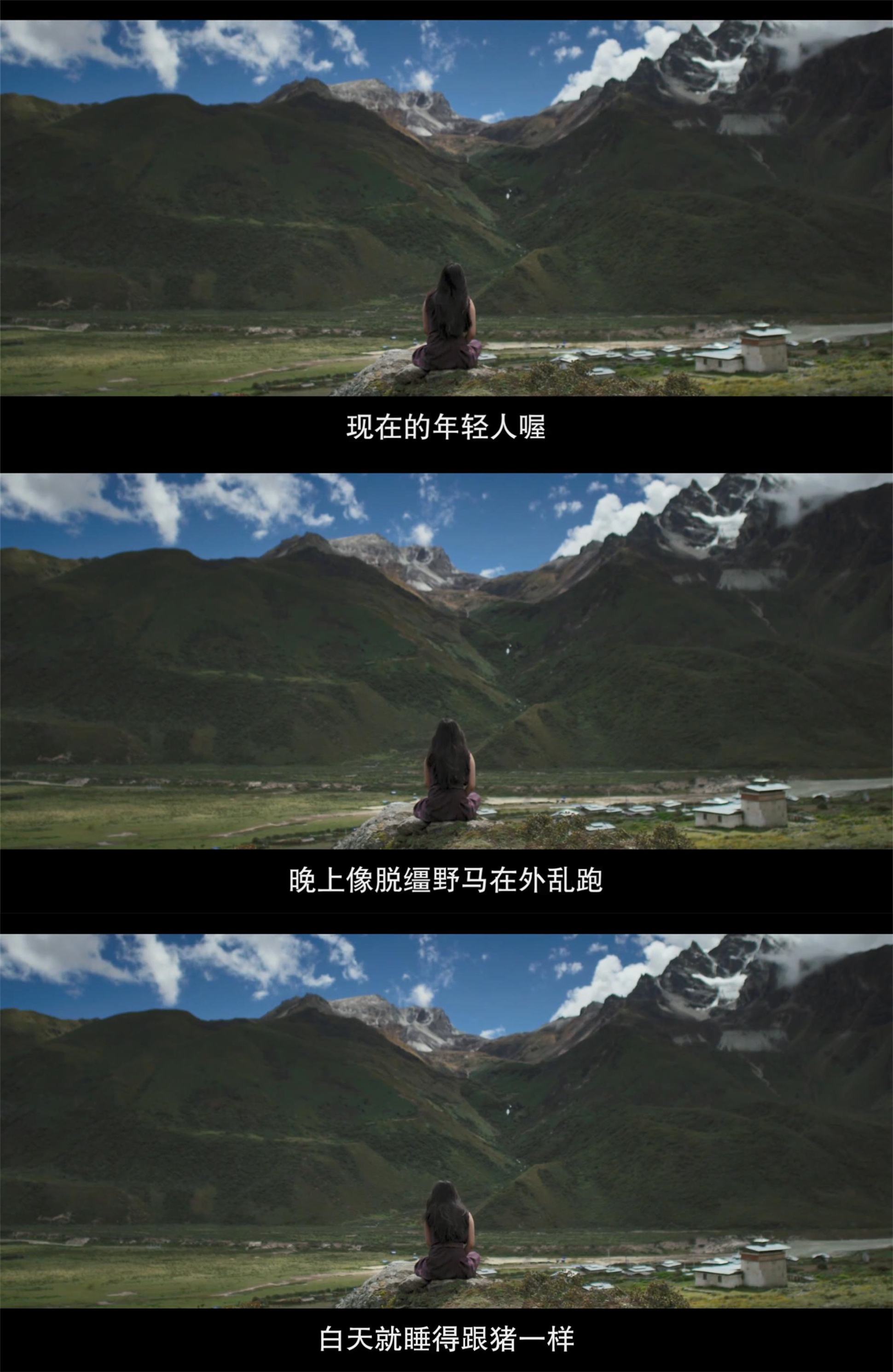 教室里的一头牦牛剧照的剧照