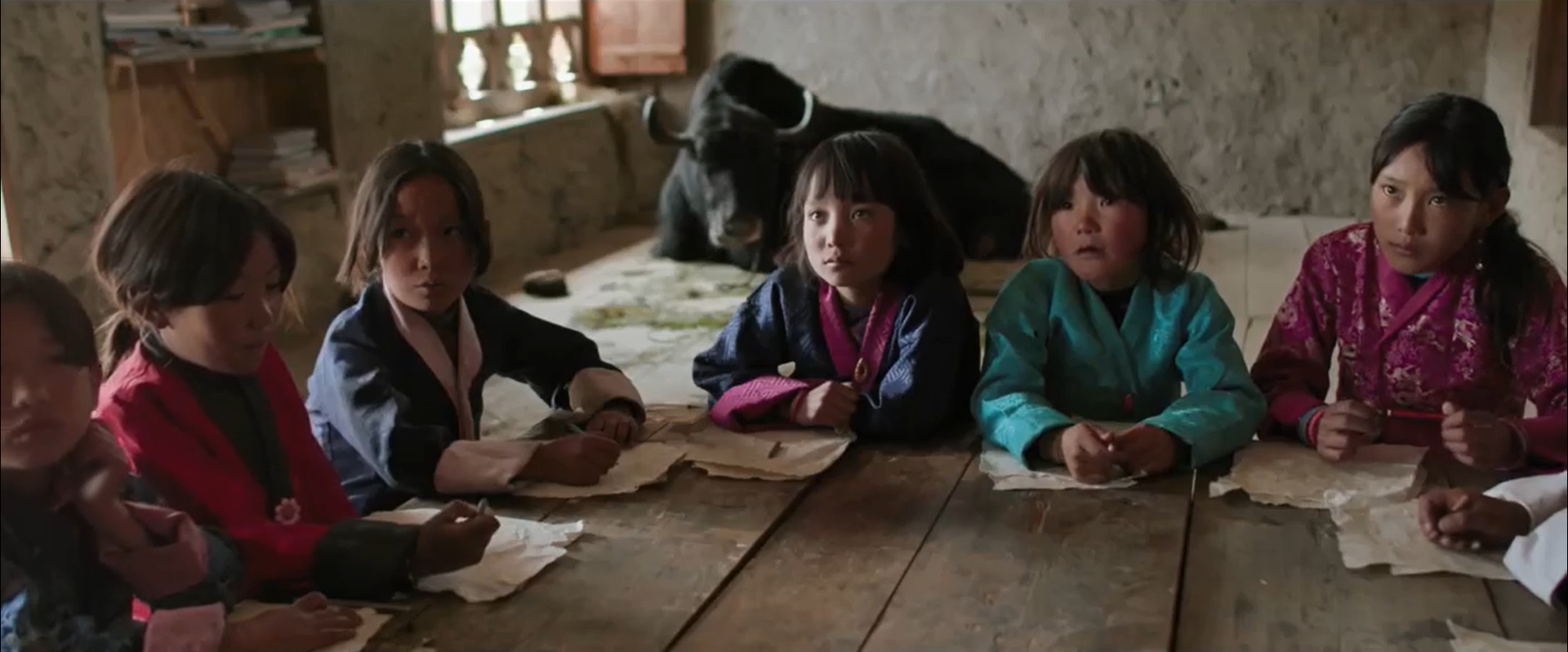 教室里的一头牦牛剧照的剧照