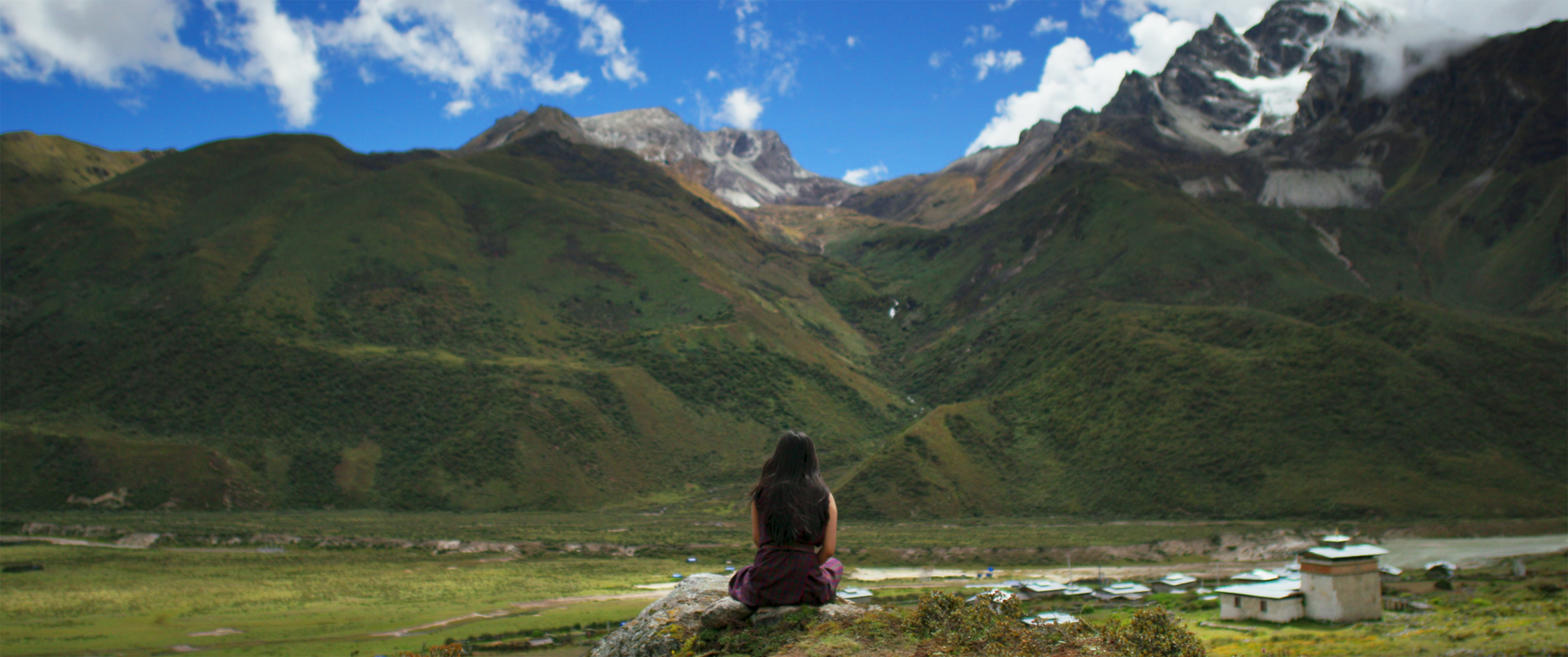 教室里的一头牦牛剧照的剧照