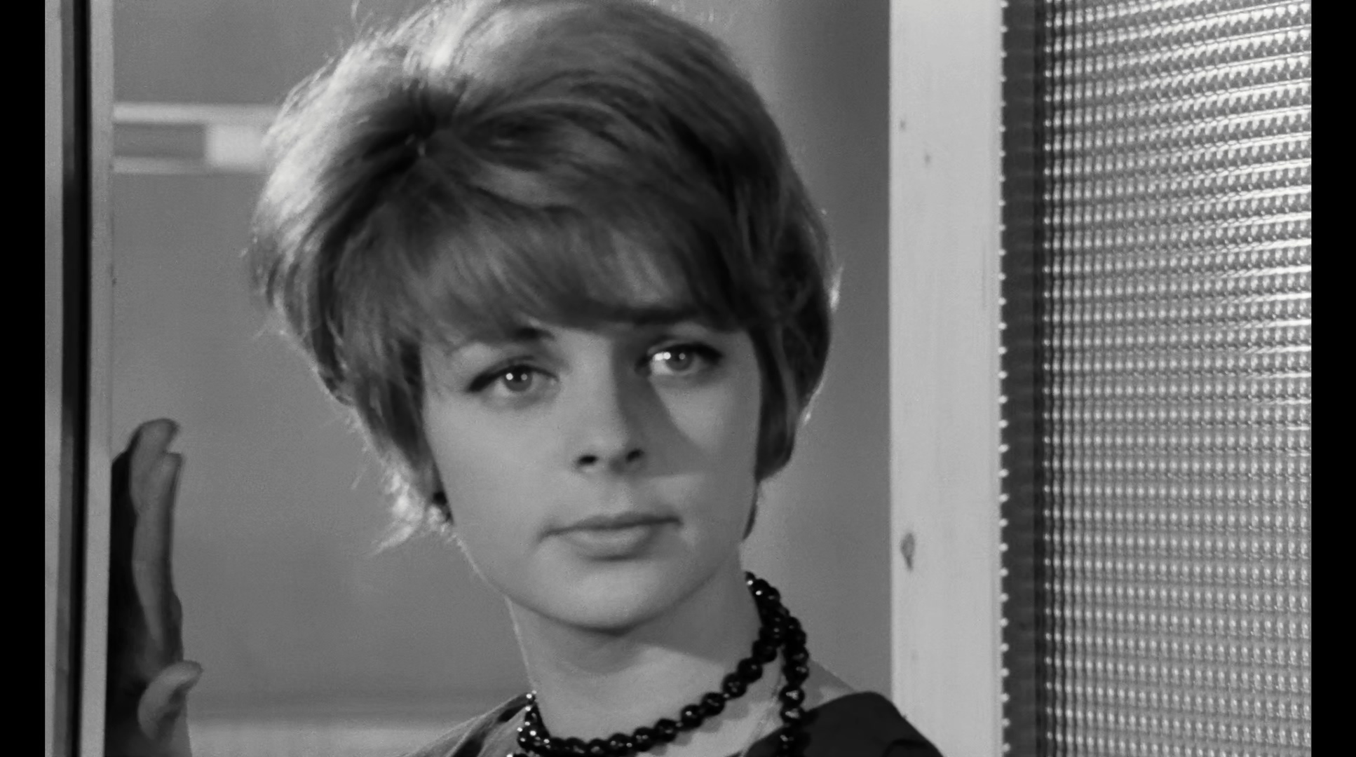 亡命的老舅们剧照的剧照