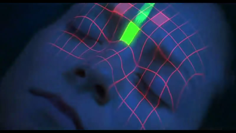 心慌方·零剧照的剧照