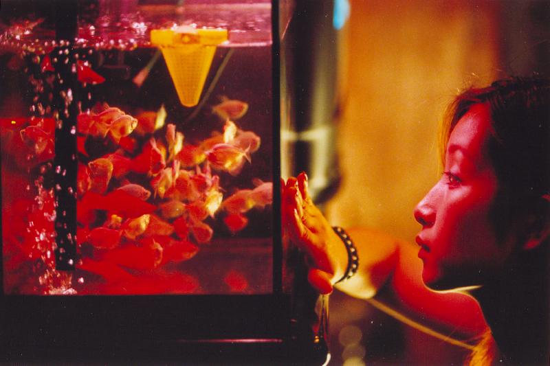 榴莲飘飘剧照的剧照