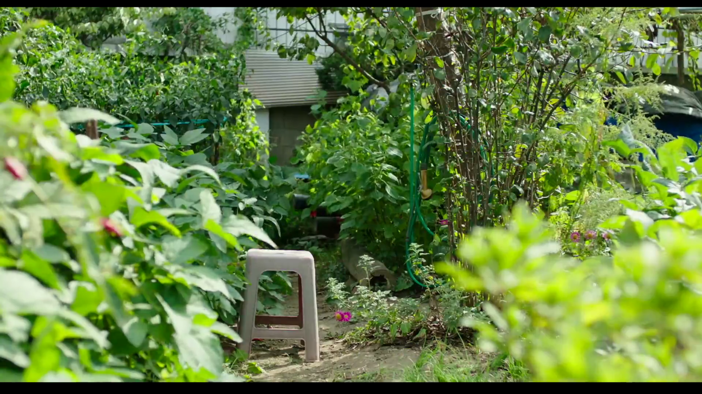 姐弟的夏夜剧照的剧照