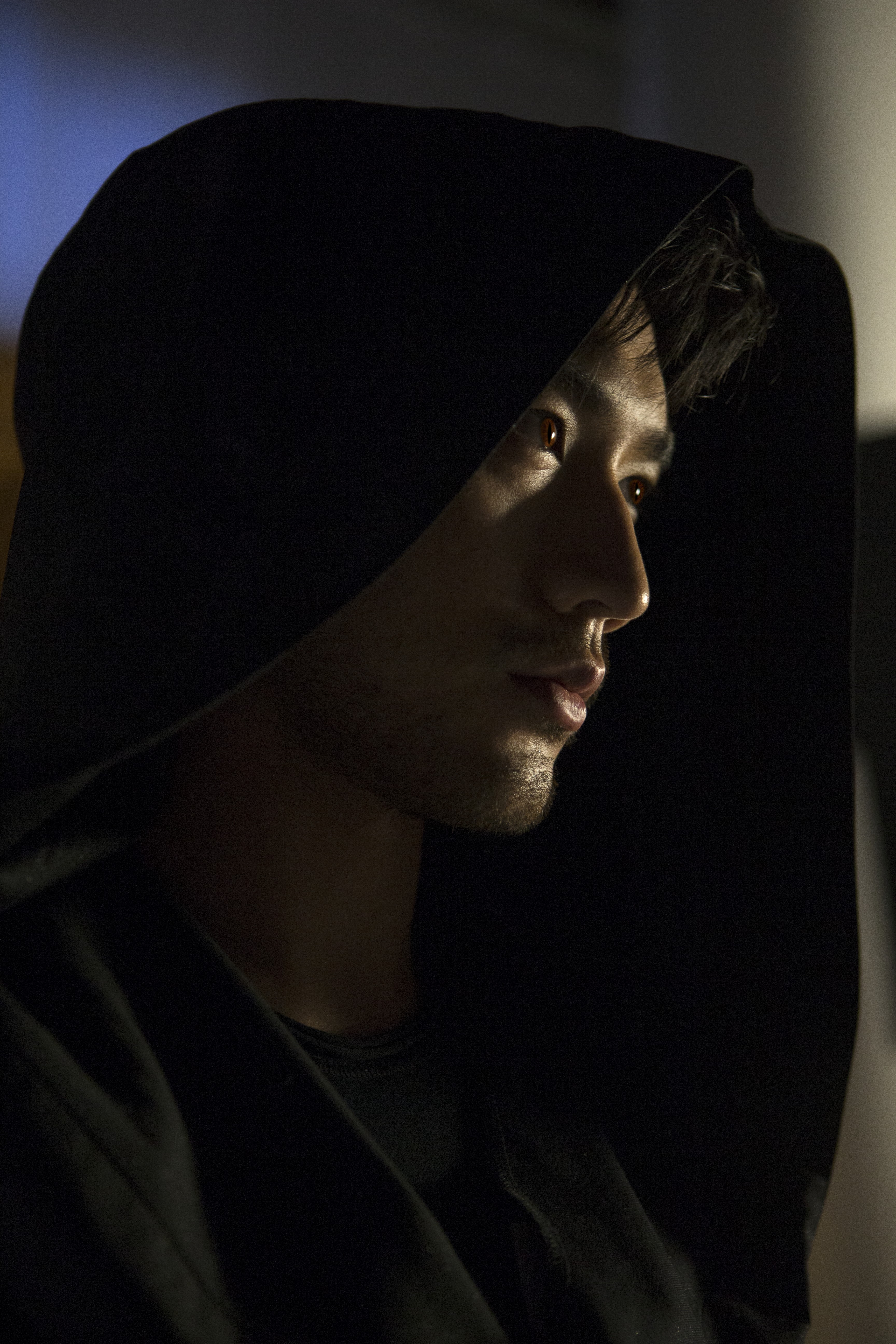 圣杯神器：骸骨之城剧照的剧照