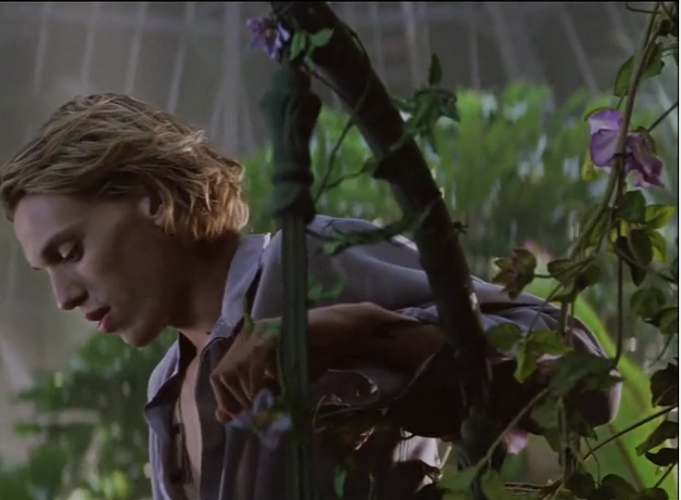 圣杯神器：骸骨之城剧照的剧照