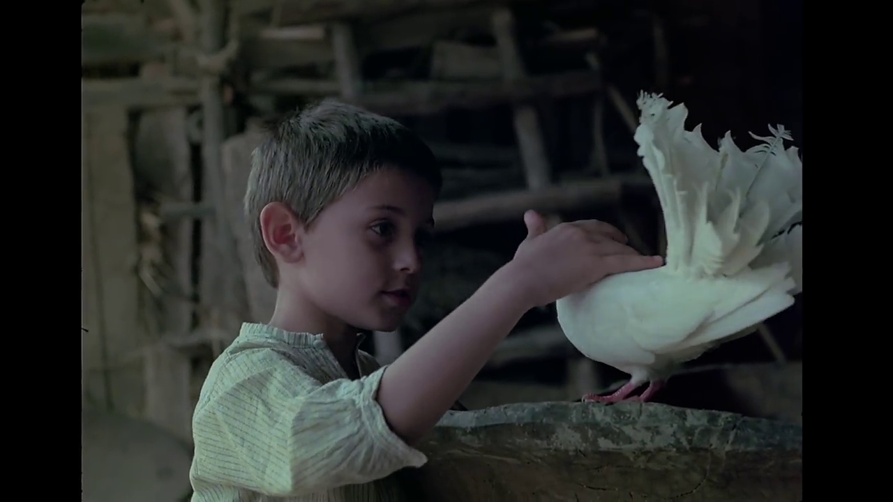 无名战士的漆皮靴剧照的剧照