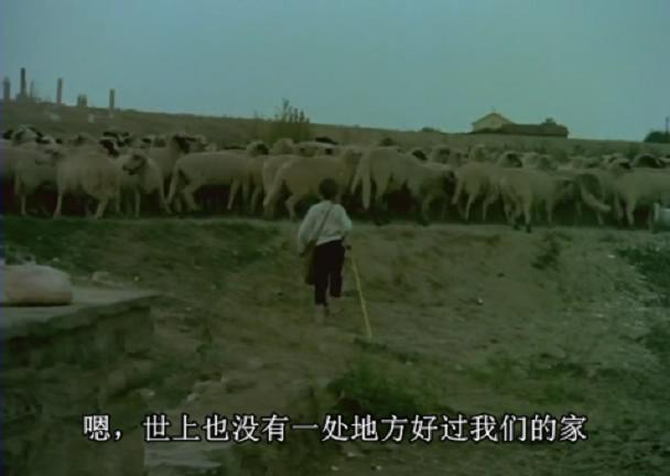 无名战士的漆皮靴剧照的剧照