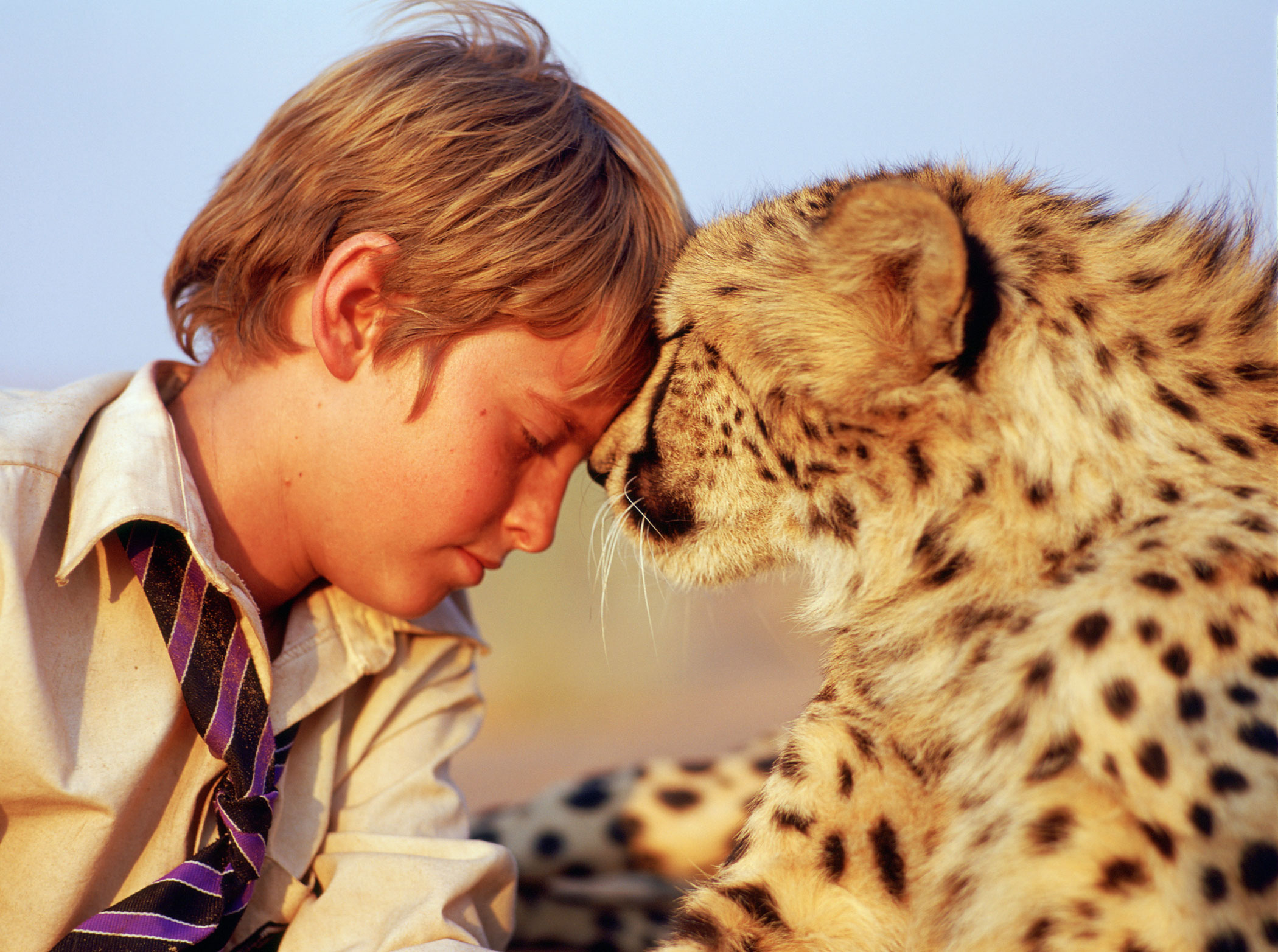 杜玛剧照的剧照