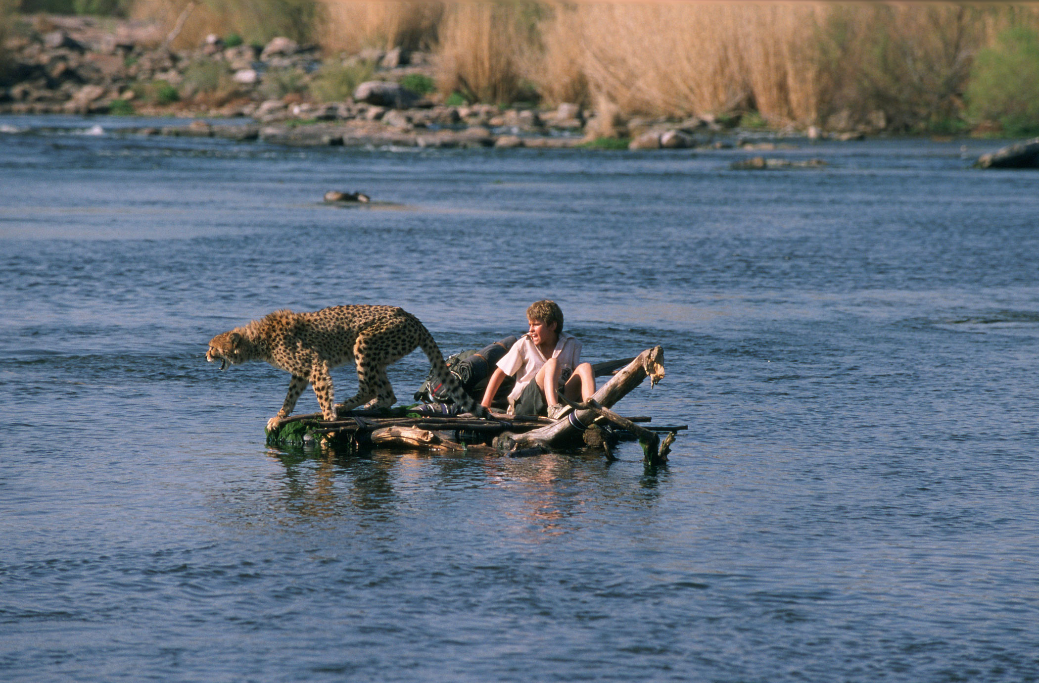杜玛剧照的剧照