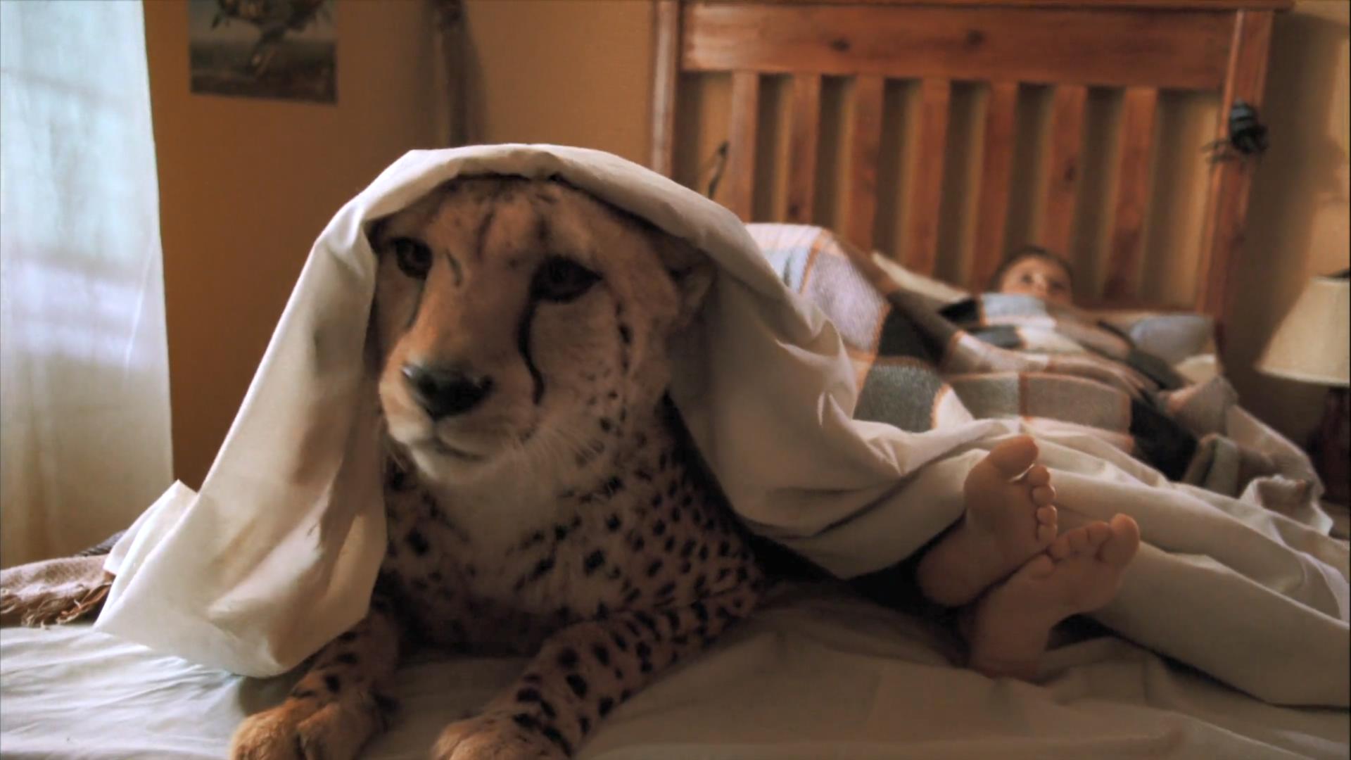 杜玛剧照的剧照