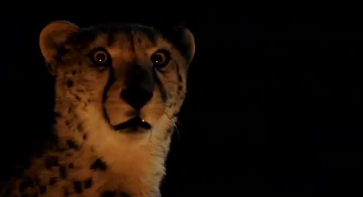 杜玛剧照的剧照