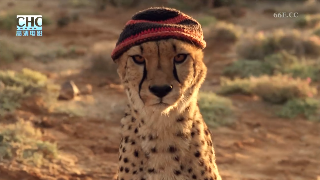 杜玛剧照的剧照