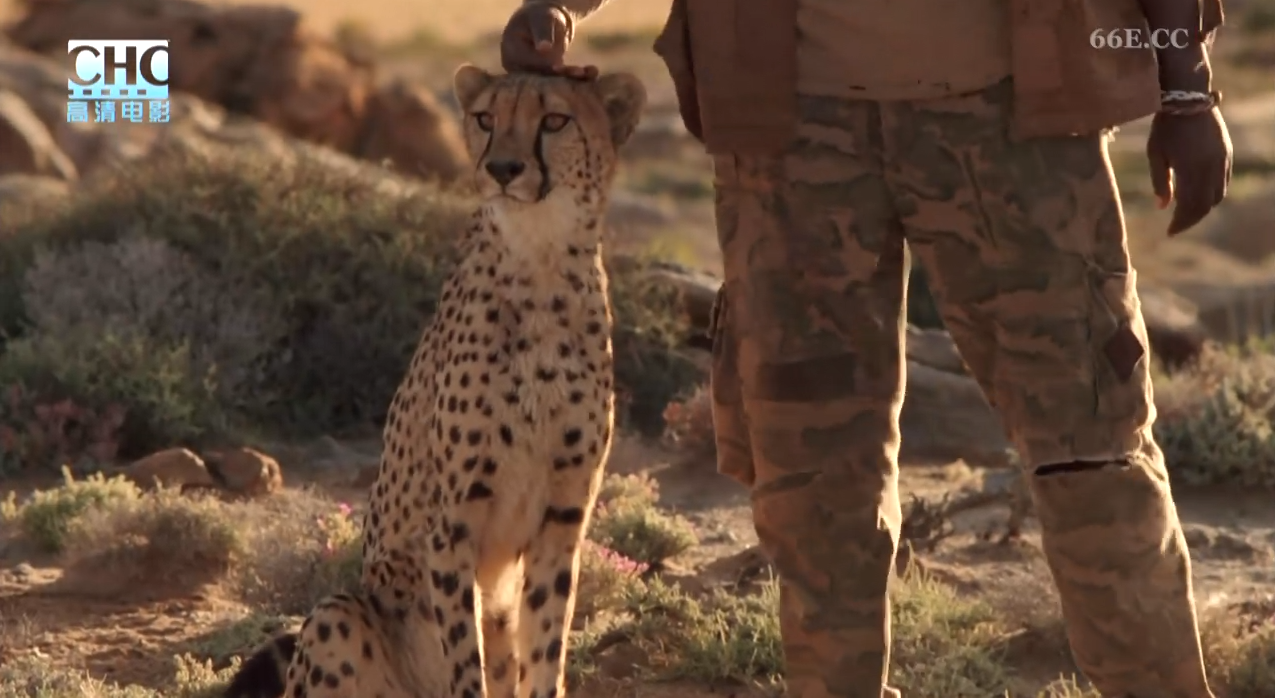 杜玛剧照的剧照