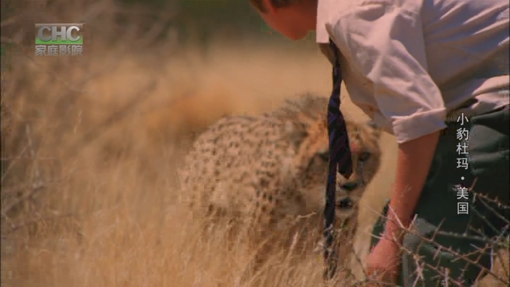 杜玛剧照的剧照