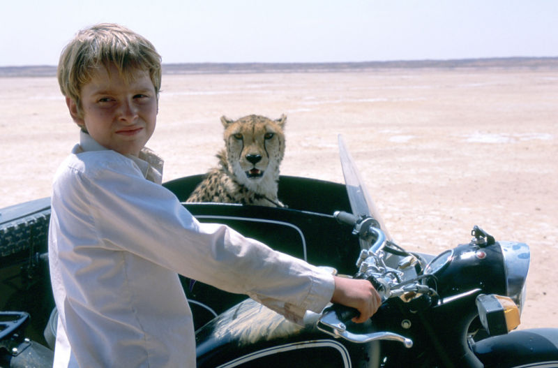 杜玛剧照的剧照