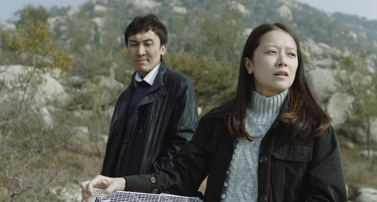 未见莲华剧照的剧照