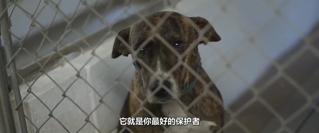 迷路的孩子剧照的剧照