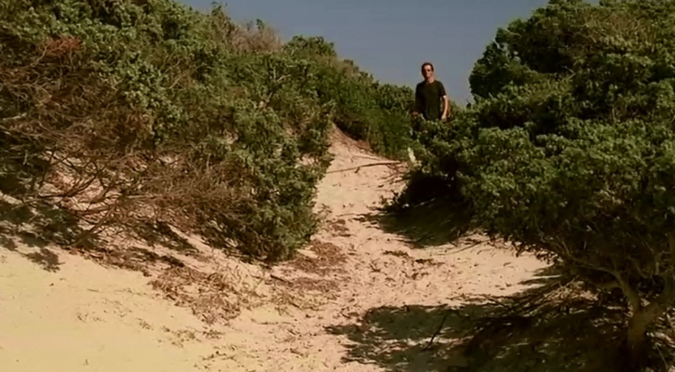 爱情赏味期剧照的剧照